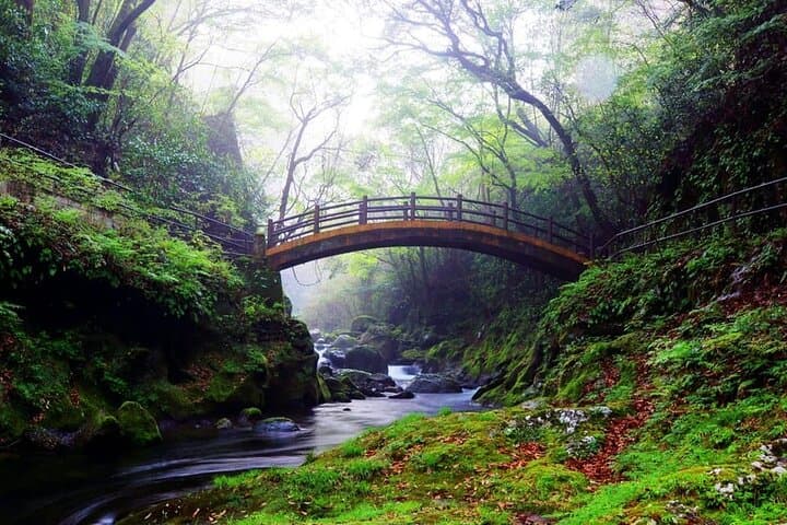 Takachiho Gorge & Mythic Shrines Day Trip from Fukuoka: Takachiho Gorge, Amanoiwato & Kamishikimi