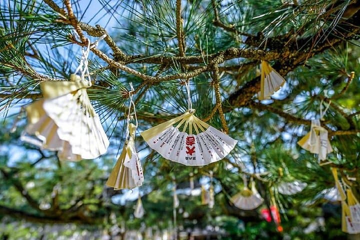 Amanohashidate & Ine Funaya: Day Trip to Kyoto’s Coastal Sandbar and Fishing Village photo 5