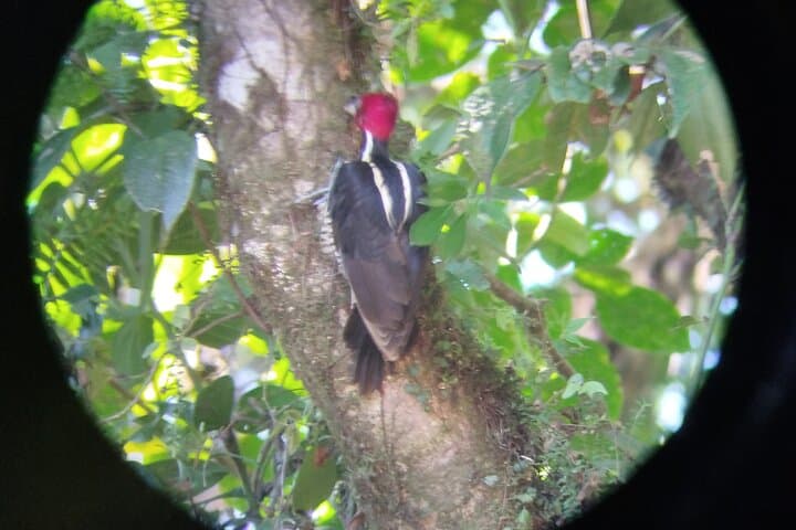 Scenic Private Transfer from La Fortuna to Tamarindo Beach via Arenal Lake photo 4