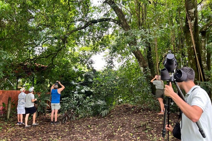 Sloth Discovery Tour La Fortuna: Guided Wildlife Walk with Naturalist