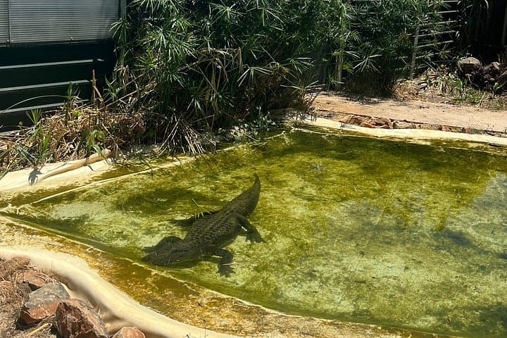 Albufeira Safari & Krazy World Animal Farm — Chapel of Bones and Salgados Lagoon photo 3