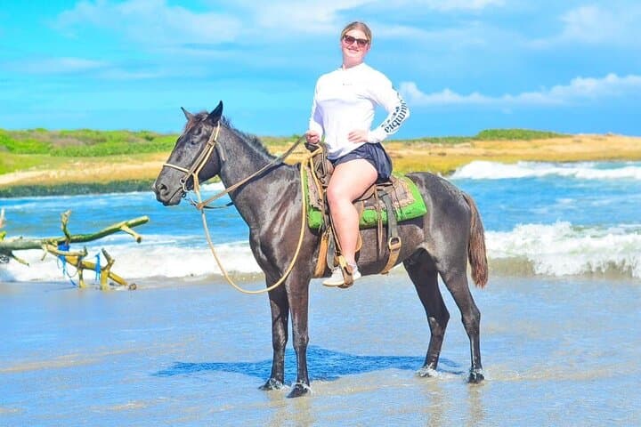 Unleash the Equestrian Spirit in Punta Cana: A Beachfront Horseback Adventure photo 6