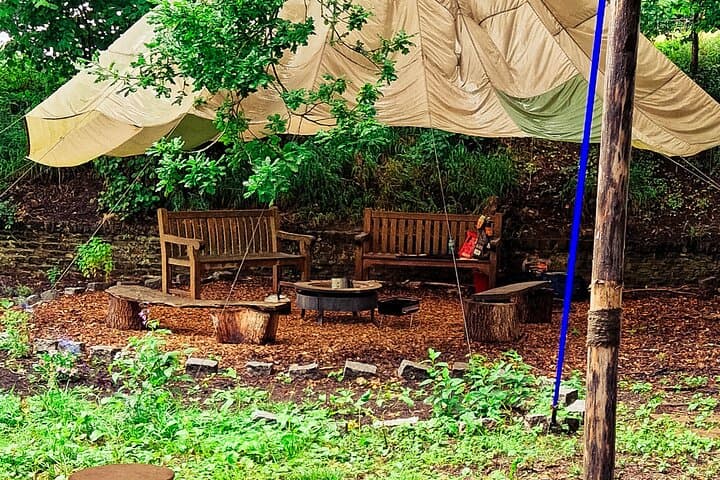 Forest Bathing & Yoga at Stonerocks Farm — Bolney Day Retreat photo 4
