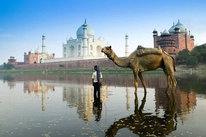 Same-Day Agra from Cochin: Taj Mahal & Agra Fort Private Tour photo 6