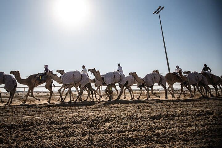 West Qatar Tour: Richard Serra Sculpture, Zekreet Beach & Camel Racing photo 6