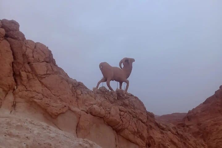 Two-Day Sahara Adventure from Hammamet: El Jem, Douz & Chott El Jerid photo 2