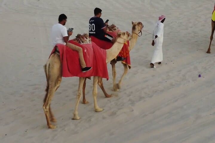 Doha Half-Day Desert Safari: Quad Biking, Dune Bashing & Camel Ride