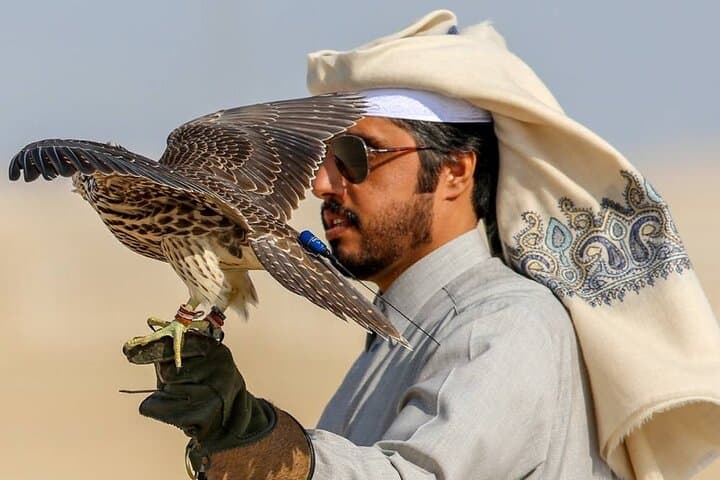 Doha City and Desert Safari: Full-Day Private Tour from Doha