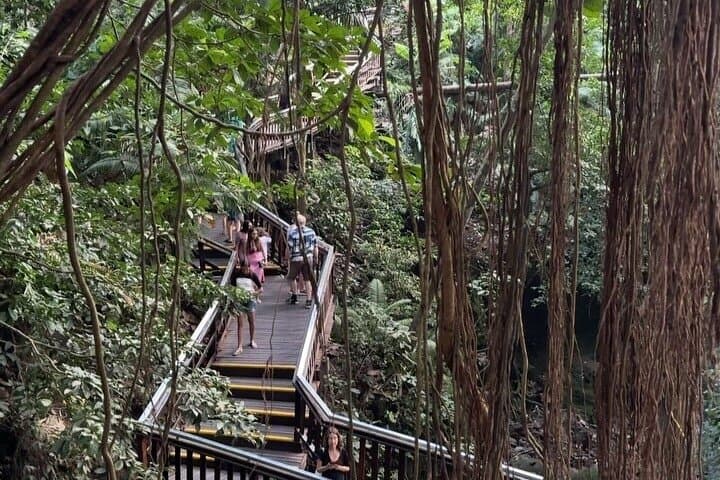 Ubud Full-Day Private Tour: Monkey Forest, Tegalalang Swing & Tegenungan Waterfall photo 3