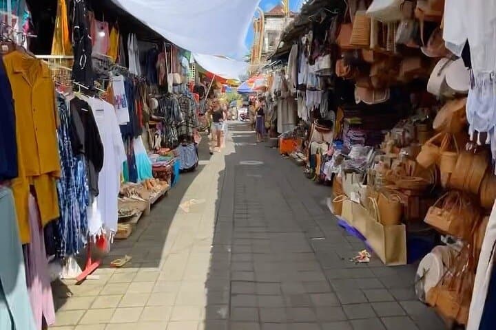 Ubud Full-Day Private Tour: Monkey Forest, Tegalalang Swing & Tegenungan Waterfall photo 5
