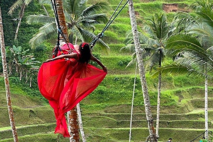 Ubud Full-Day Private Tour: Monkey Forest, Tegalalang Swing & Tegenungan Waterfall photo 6