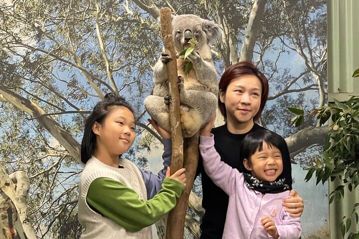 Blue Mountains Private Day Trip: Featherdale Wildlife, Scenic World & Three Sisters