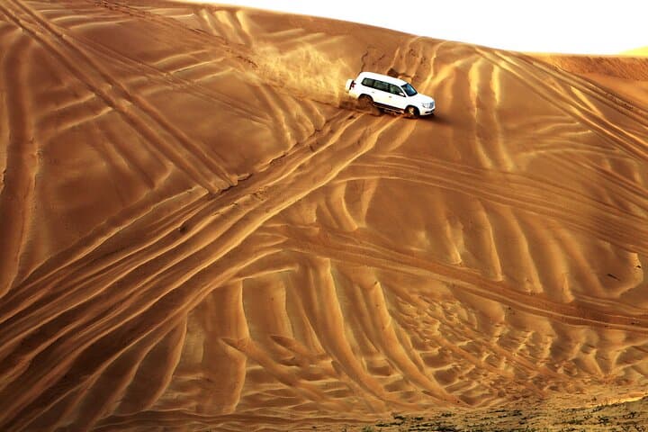 Doha City and Desert Safari: Full-Day Private Tour from Doha photo 6
