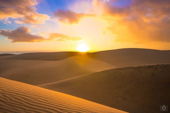 Sunrise & Sunset Doha Desert Safari — Dune Bashing, Sandboarding & Camel Ride photo 3