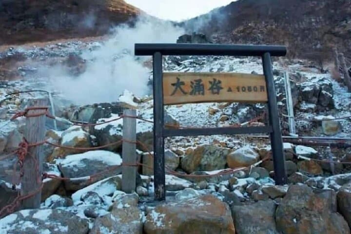 Mt. Fuji, Hakone Ropeway & Oshino Hakkai Day Tour from Tokyo photo 4