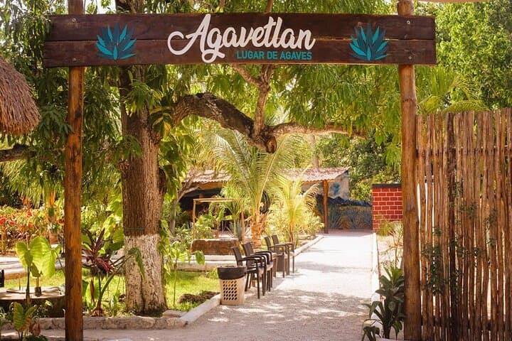 Cozumel ATV, Snorkel & Beach Club Adventure with Tequila Tasting photo 6