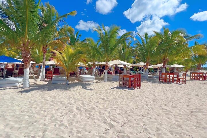 Palm Beach Cozumel Shore Excursion: Beach Day & Snorkel for Royal Caribbean Guests photo 4