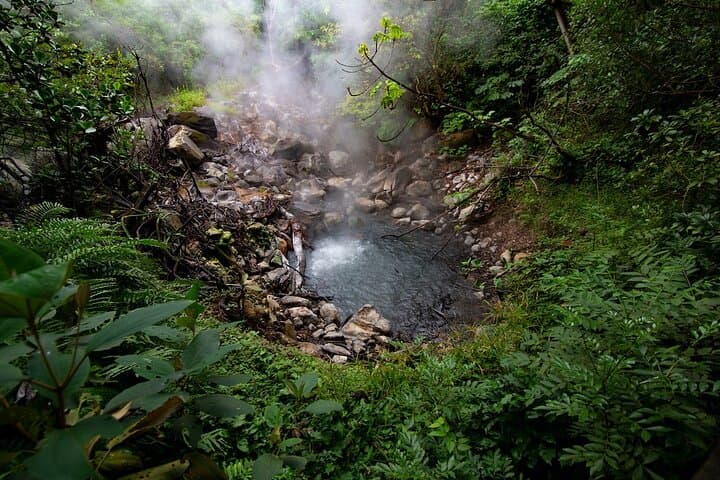 Rincón de la Vieja Volcano Guided Hike: Las Pailas Trail, Boiling Mud & Wildlife photo 3