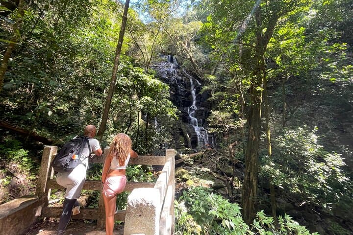 Rincón de la Vieja Volcano Guided Hike: Las Pailas Trail, Boiling Mud & Wildlife