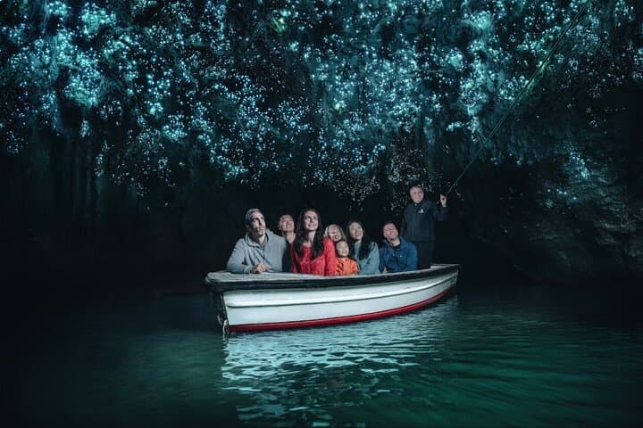 Waitomo Glowworm Caves and Te Puia Rotorua Day Tour from Auckland photo 2