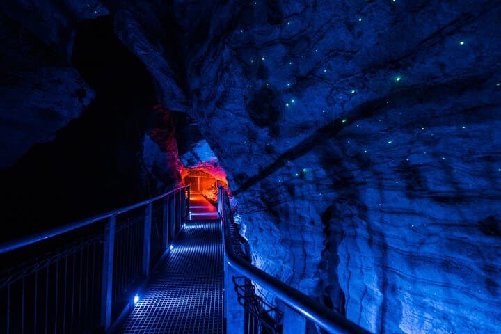 Ruakuri Cave and Hamilton Gardens Day Tour from Auckland