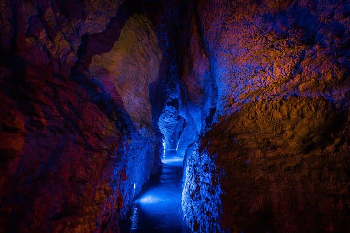 Ruakuri Cave and Hamilton Gardens Day Tour from Auckland photo 3