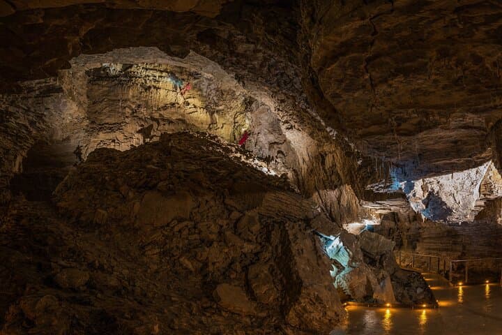 Ruakuri Cave and Hamilton Gardens Day Tour from Auckland photo 4