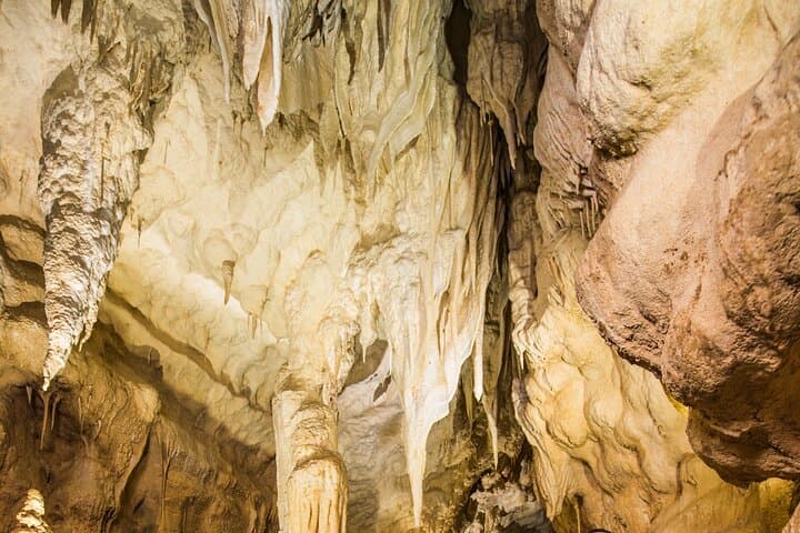 Ruakuri Cave and Hamilton Gardens Day Tour from Auckland photo 5