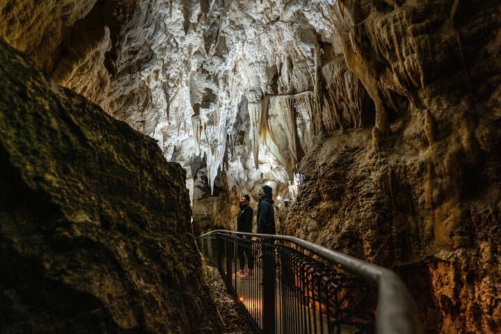 Ruakuri Cave and Hamilton Gardens Day Tour from Auckland photo 6