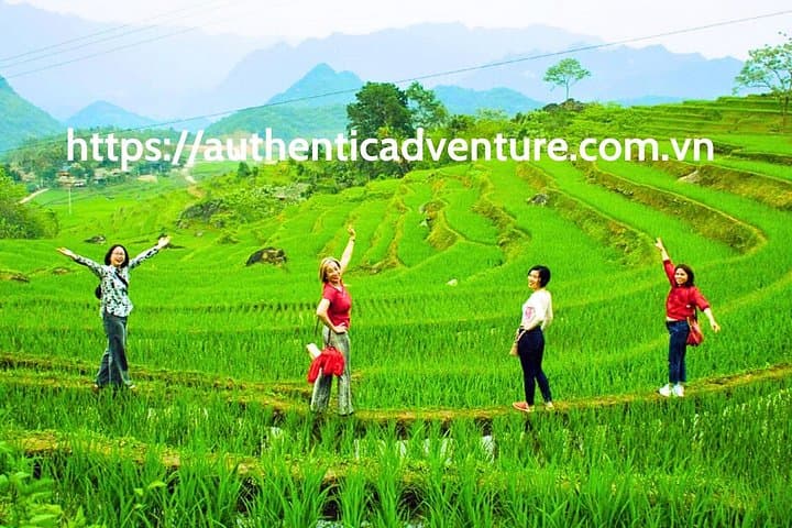 9-Day Vietnam Tour: Hanoi to Hoi An — Pu Luong, Ninh Binh, Ha Long & Cham Islands photo 1