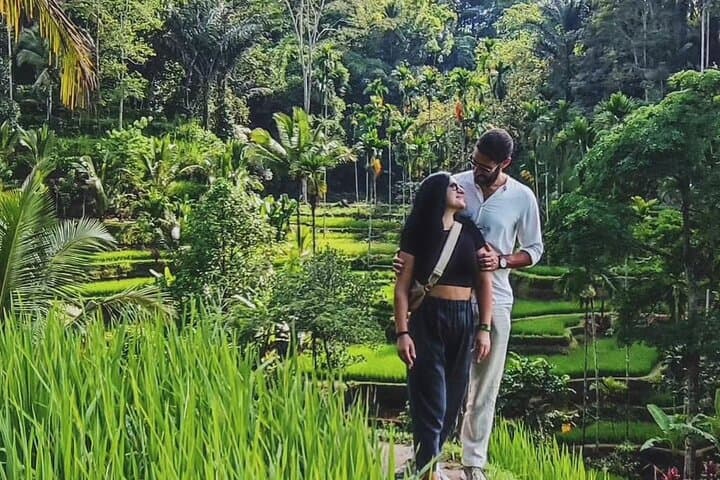Private Ubud Highlights Day Tour: Monkey Forest, Rice Terraces & Waterfall