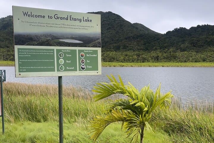 Grenada Nature & Heritage Escape: Private Half-Day Tour from St. George's photo 5