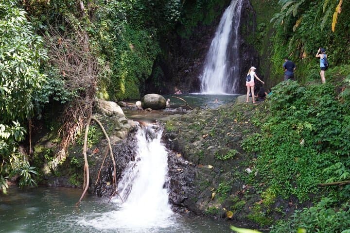 Half-Day Grenada: Seven Sisters Waterfall Hike & Grand Etang Lake photo 5