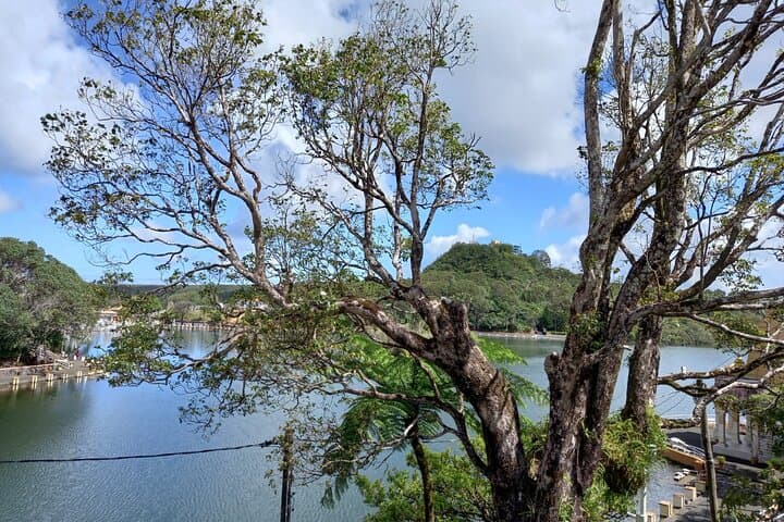 Southwest Mauritius Day Tour — Chamarel, Black River Gorges & Grand Bassin photo 3