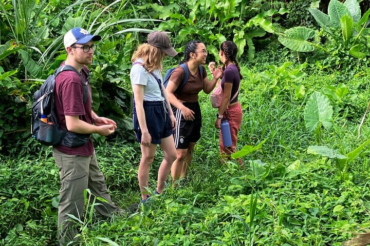 Secret Pool Hike on Dominica's Kalinago Canoe Trail with Former Chief Lorenzo Sanford photo 3