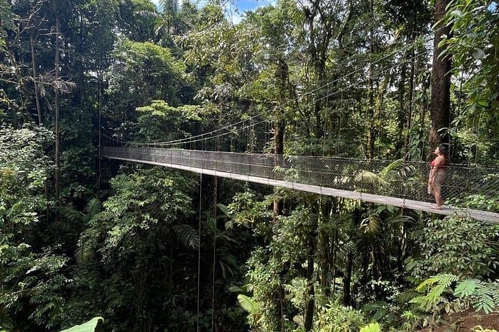 Early Morning Hanging Bridges Wildlife Tour in La Fortuna photo 2