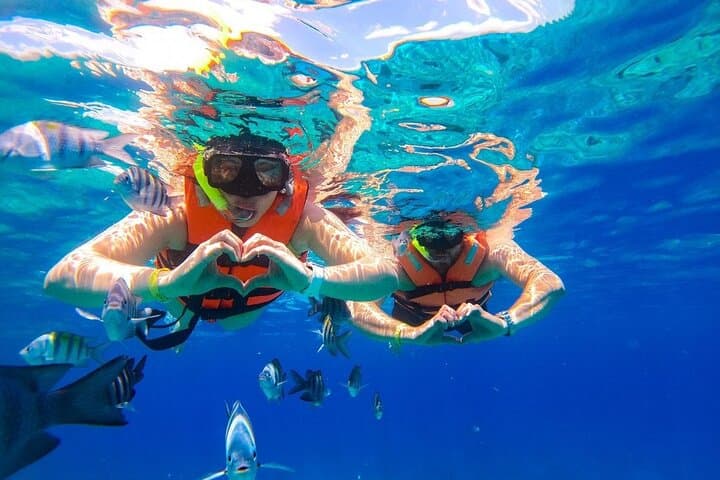 Glass-Bottom Boat & Snorkel: Cozumel's Punta Norte to Legos Reef photo 2
