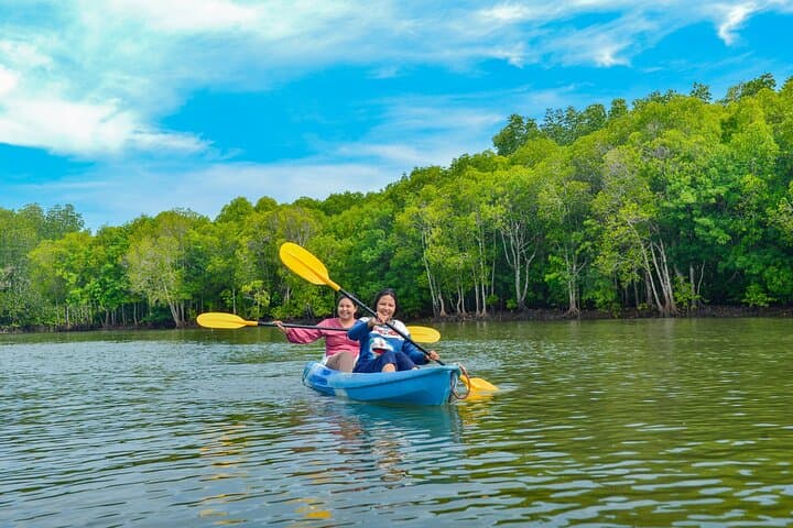 Half-Day Mangrove Kayaking Tour in Tung Yee Peng, Koh Lanta