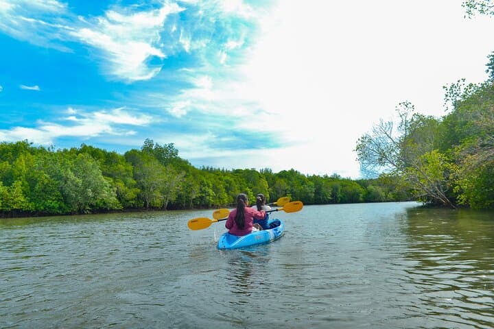Half-Day Mangrove Kayaking Tour in Tung Yee Peng, Koh Lanta photo 2