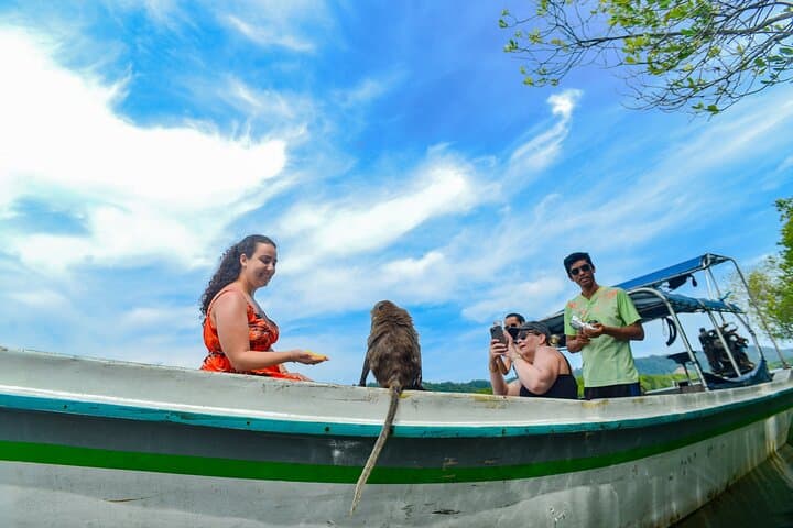 Half-Day Mangrove Kayaking Tour in Tung Yee Peng, Koh Lanta photo 4