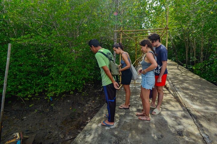 Half-Day Mangrove Kayaking Tour in Tung Yee Peng, Koh Lanta photo 6