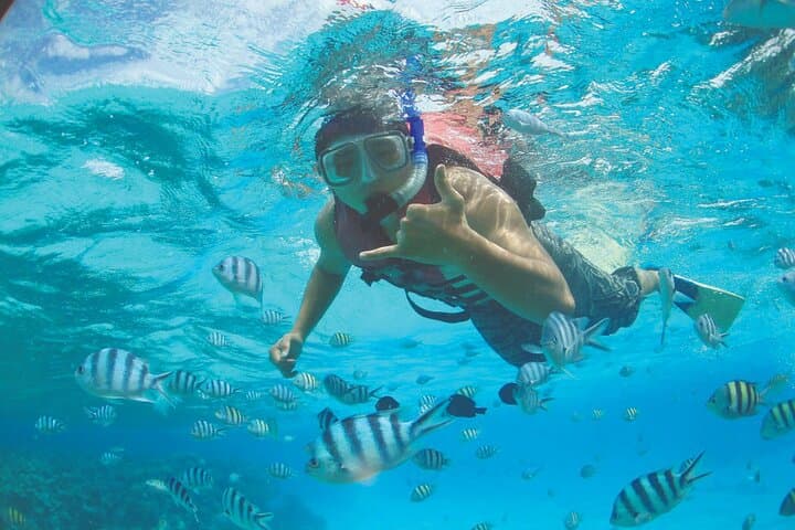 Island Hopper Zipline and Tumon Bay Kayak + Snorkel — Guam Adventure photo 6