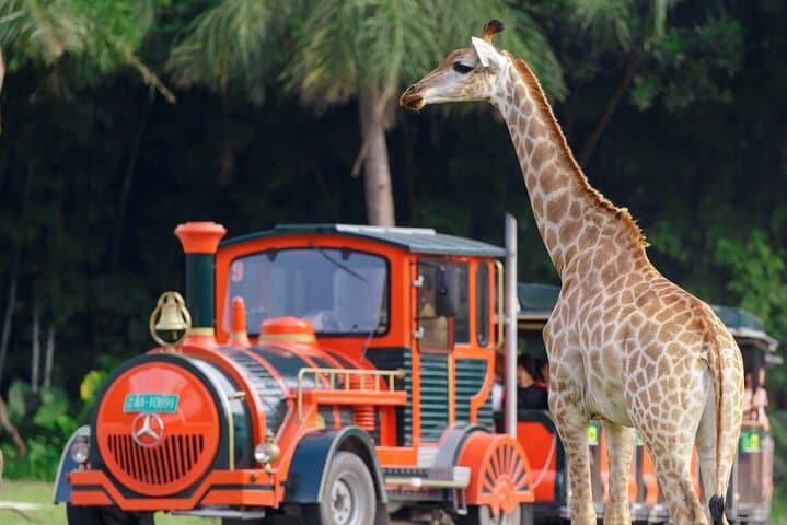 Guangzhou Chimelong Safari Park: Practical Visitor Guide to Wildlife & Walkways photo 4