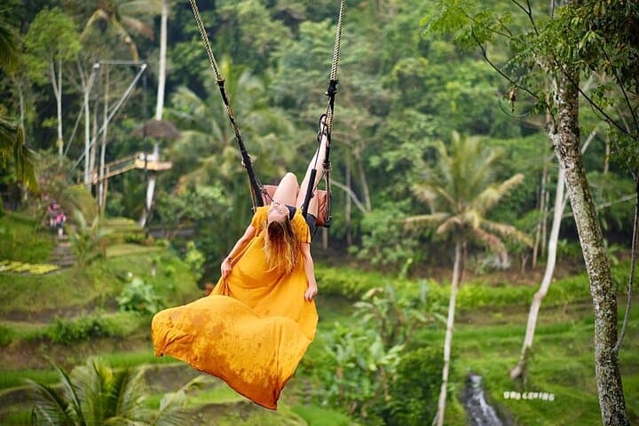 Bali Private Car Hire with English-Speaking Driver — Ubud, Tirta Empul & Waterfalls photo 3