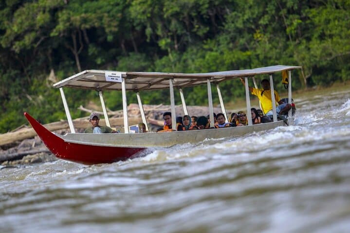 Taman Negara Day Trip: Canopy Walk, Orang Asli Village & River Wildlife photo 2