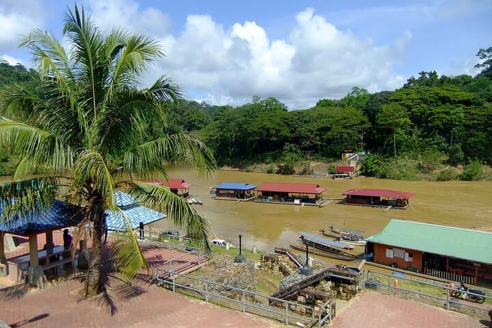Taman Negara Day Trip: Canopy Walk, Orang Asli Village & River Wildlife photo 3