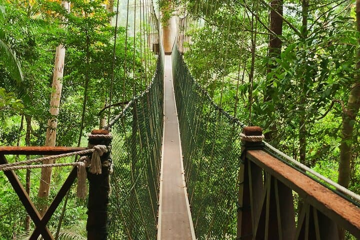 Taman Negara Day Trip: Canopy Walk, Orang Asli Village & River Wildlife photo 4