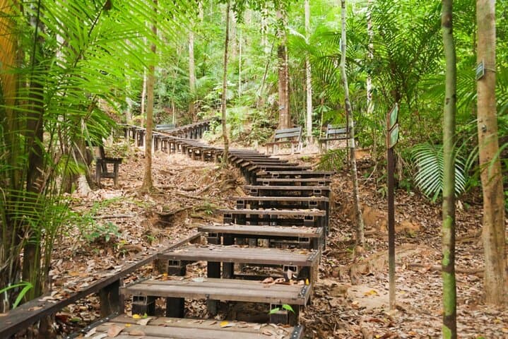 Taman Negara Day Trip: Canopy Walk, Orang Asli Village & River Wildlife photo 5