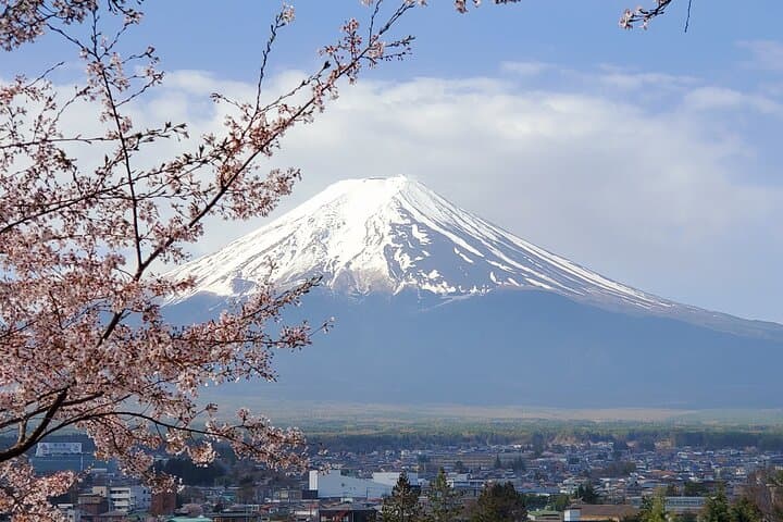 Mt Fuji and Hakone Private Day Tour from Tokyo with Bullet Train Return photo 2