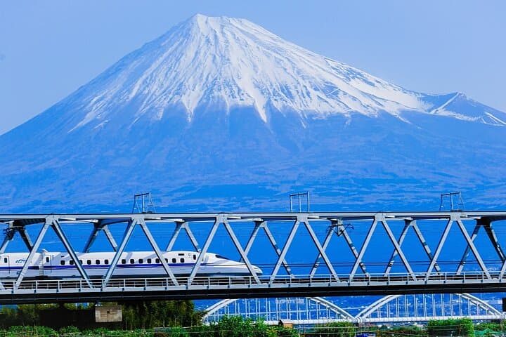Mt Fuji and Hakone Private Day Tour from Tokyo with Bullet Train Return